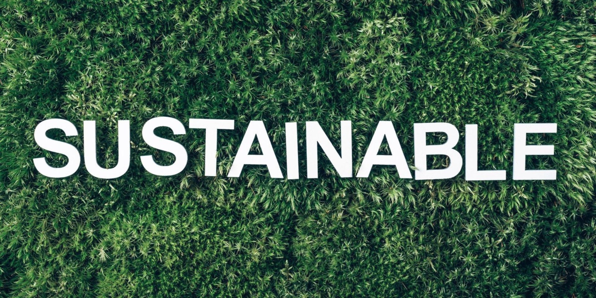 The word "SUSTAINABLE" on a background of green grass.