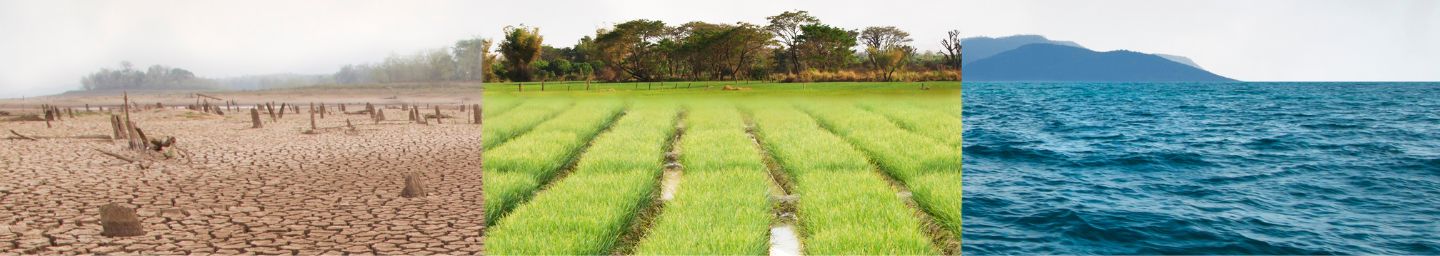 Collage of dry cracked earth, green fields, and ocean water.